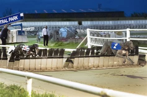 english greyhound derby 2021|GRAND NATIONAL 2021 .